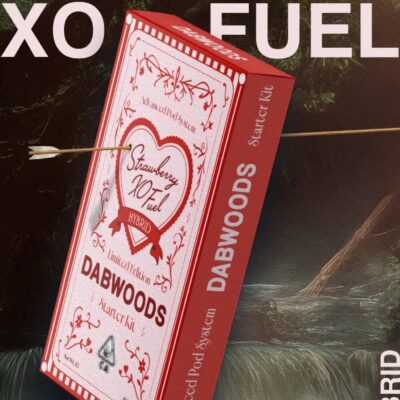 DABWOODS STARTER KIT STRAWBERRY XO FUEL
